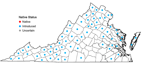 Locations ofRubus phoenicolasius Maxim. in Virginia