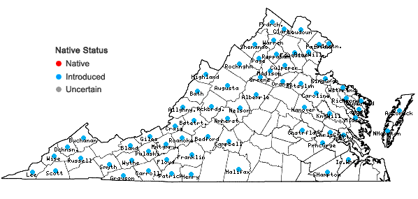 Locations ofRubus phoenicolasius Maxim. in Virginia