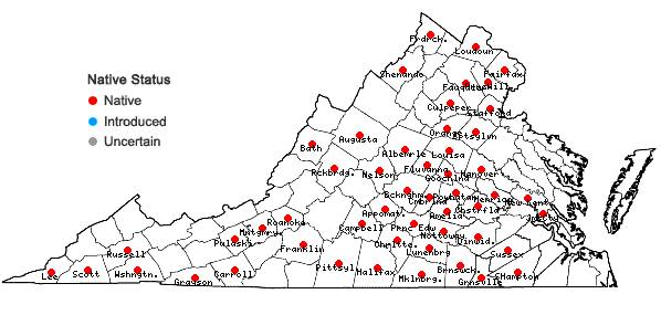 Locations ofRudbeckia fulgida Ait. var. fulgida in Virginia