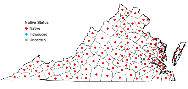Locations ofRudbeckia hirta L. var. pulcherrima Farwell in Virginia