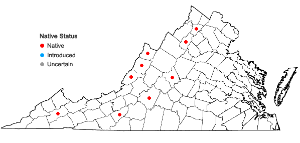 Locations ofRudbeckia hirta L. var. hirta in Virginia