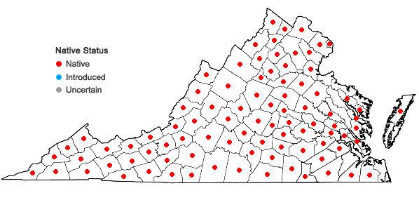 Locations ofRudbeckia laciniata L. in Virginia