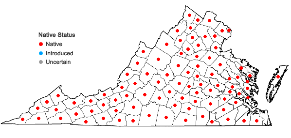 Locations ofRudbeckia laciniata L. in Virginia