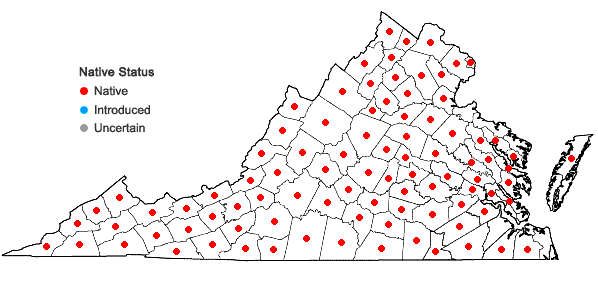 Locations ofRudbeckia laciniata L. in Virginia