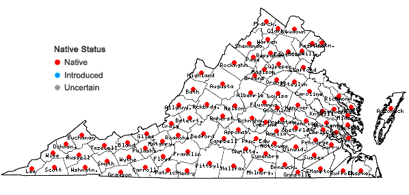 Locations ofRudbeckia laciniata L. in Virginia