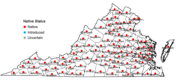Locations ofRudbeckia laciniata L. in Virginia