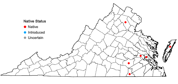 Locations ofRudbeckia laciniata L. var. bipinnata Perdue in Virginia