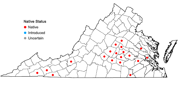 Locations ofRudbeckia laciniata L. var. humilis Gray in Virginia