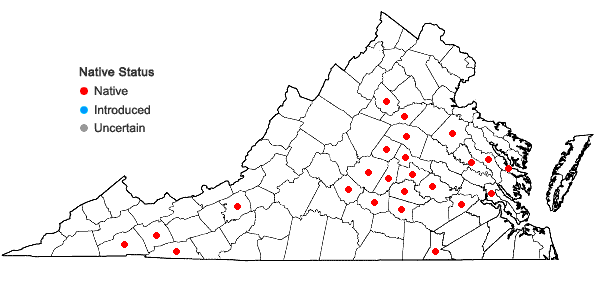 Locations ofRudbeckia laciniata L. var. digitata (Mill.) Fiori in Virginia