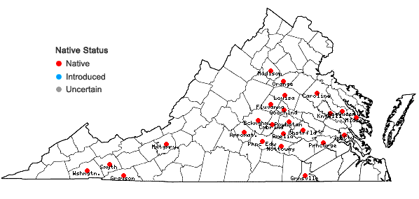 Locations ofRudbeckia laciniata L. var. digitata (Mill.) Fiori in Virginia