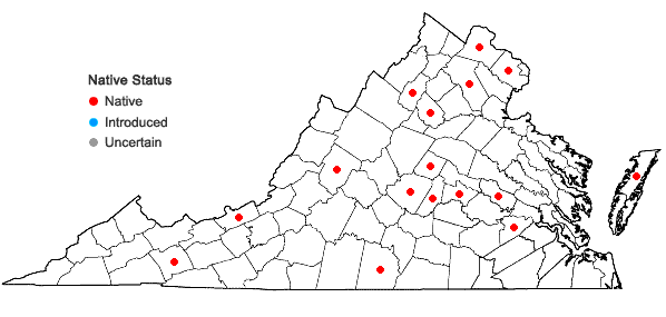 Locations ofRudbeckia laciniata L. var. laciniata in Virginia