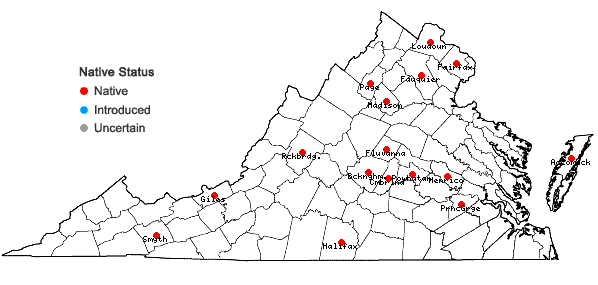 Locations ofRudbeckia laciniata L. var. laciniata in Virginia