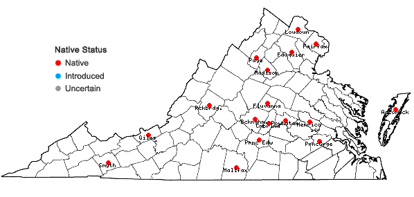 Locations ofRudbeckia laciniata L. var. laciniata in Virginia