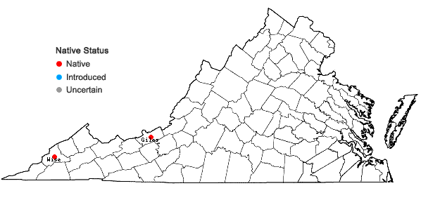 Locations ofRudbeckia triloba L. var. beadlei (Small) Fernald in Virginia