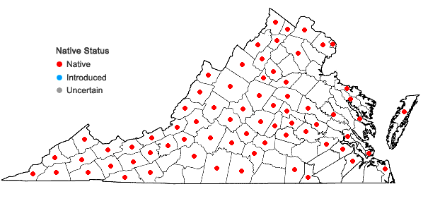 Locations ofRudbeckia triloba L. var. triloba in Virginia