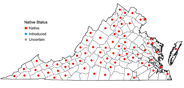 Locations ofRudbeckia triloba L. var. triloba in Virginia
