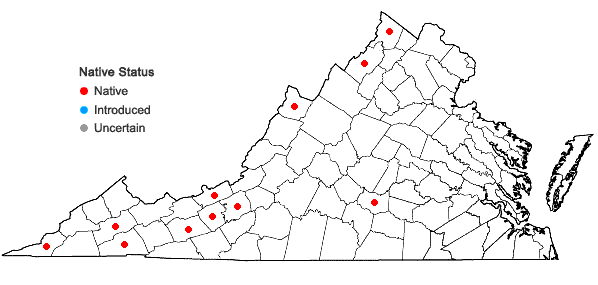 Locations ofRuellia humilis Nuttall in Virginia