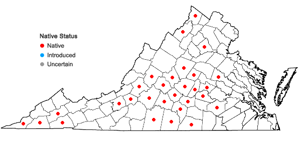 Locations ofRuellia purshiana Fernald in Virginia