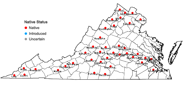 Locations ofRuellia strepens L. in Virginia