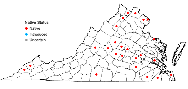Locations ofRumex altissimus Wood in Virginia