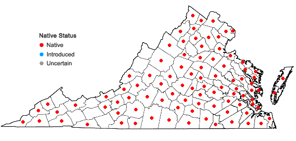 Locations ofSabatia angularis (L.) Pursh in Virginia