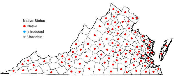 Locations ofSabatia angularis (L.) Pursh in Virginia