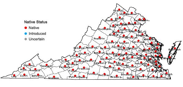 Locations ofSabatia angularis (L.) Pursh in Virginia
