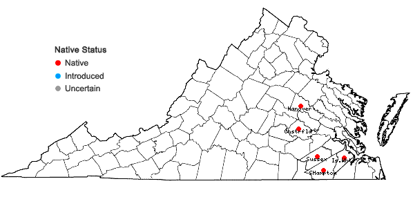 Locations ofSabatia difformis (L.) Druce in Virginia