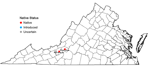 Locations ofSabulina paludicola (Fern. & B.G. Schub.) E.E. Schilling in Virginia