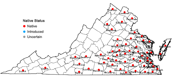 Locations ofSagina decumbens (Ell.) Torrey & A. Gray ssp. decumbens in Virginia