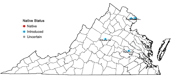 Locations ofSagina procumbens L. in Virginia