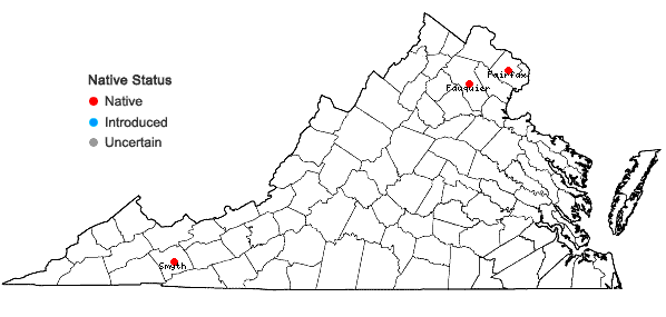 Locations ofSagittaria brevirostra Mackenzie & Bush in Virginia