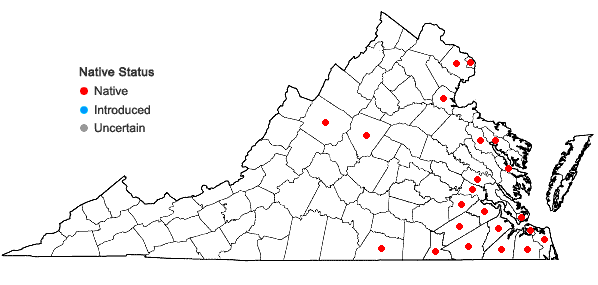 Locations ofSagittaria graminea Michaux in Virginia