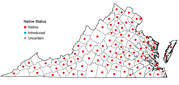 Locations ofSagittaria latifolia Willdenow in Virginia