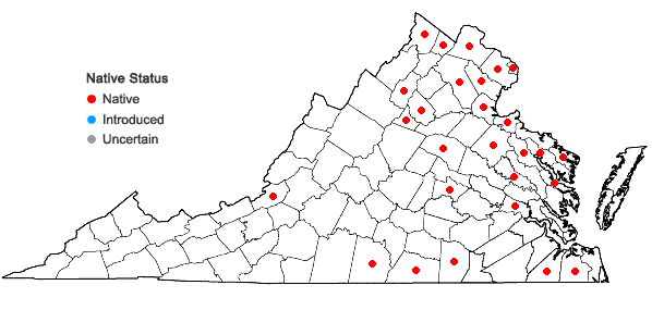 Locations ofSagittaria latifolia Willd. var. latifolia in Virginia