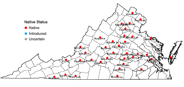 Locations ofSagittaria latifolia Willd. var. pubescens (Muhl. ex Nutt.) J.G. Smith in Virginia