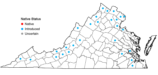 Locations ofSalix alba L. in Virginia