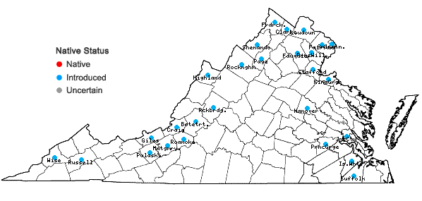 Locations ofSalix alba L. in Virginia