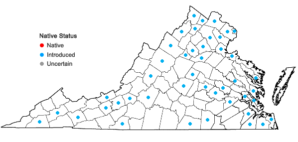 Locations ofSalix babylonica L. in Virginia