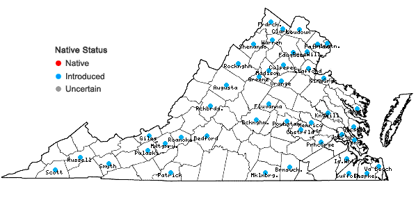 Locations ofSalix babylonica L. in Virginia