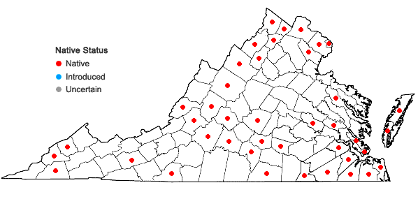 Locations ofSalix caroliniana Michx. in Virginia