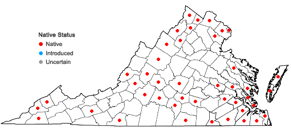 Locations ofSalix caroliniana Michx. in Virginia