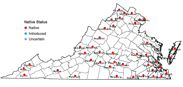 Locations ofSalix caroliniana Michx. in Virginia