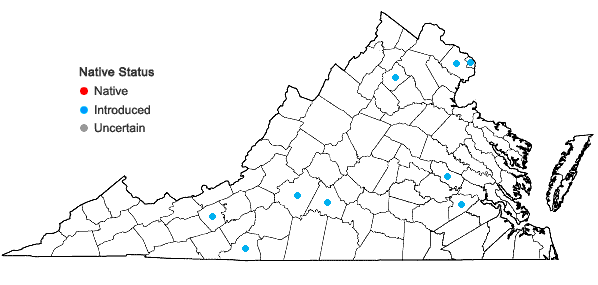 Locations ofSalix cinerea L. in Virginia