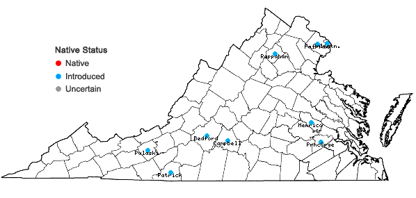 Locations ofSalix cinerea L. in Virginia