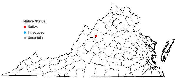 Locations ofSalix discolor Muhl. in Virginia