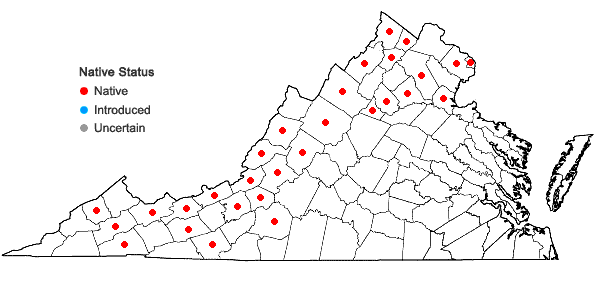 Locations ofSalix eriocephala Michx. in Virginia