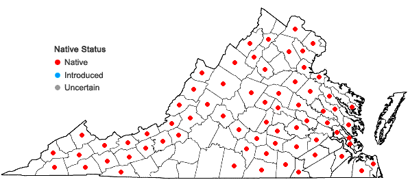 Locations ofSalix humilis Marshall in Virginia