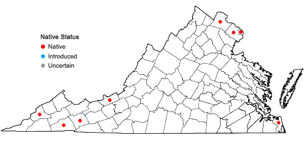 Locations ofSalix interior Rowlee in Virginia