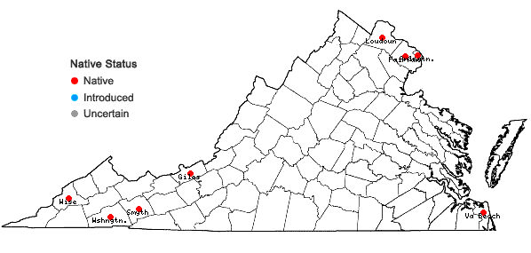 Locations ofSalix interior Rowlee in Virginia